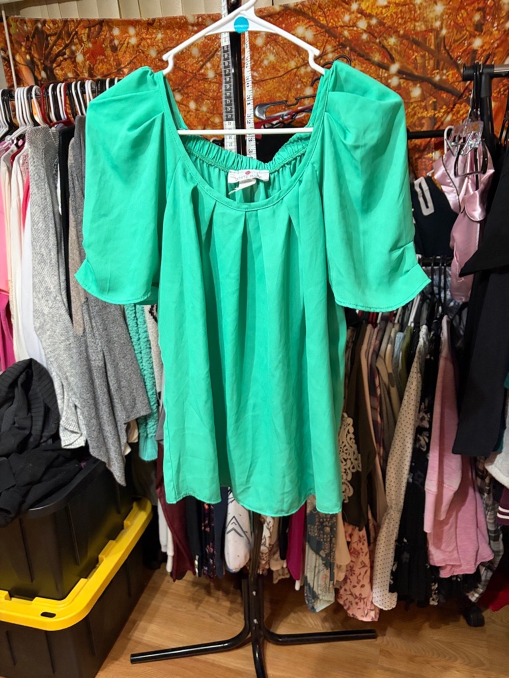 Mint Green Puff Sleeve Peasant Blouse - Unknown Brand